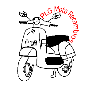 plgmotorecambios.com